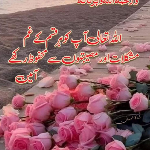 Sufi - Potato Cutlets - 500gm